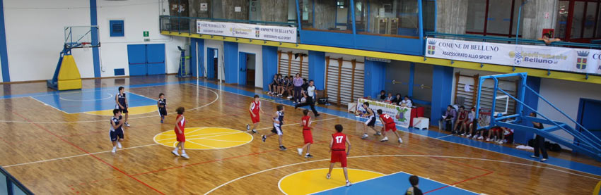 Palasport